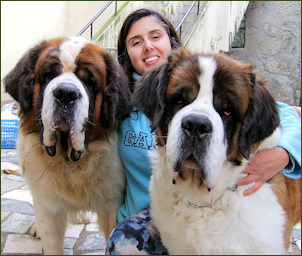 beethoven breed beethoven breed 23055 notefolio beethoven breed beethoven breed 23055 notefolio