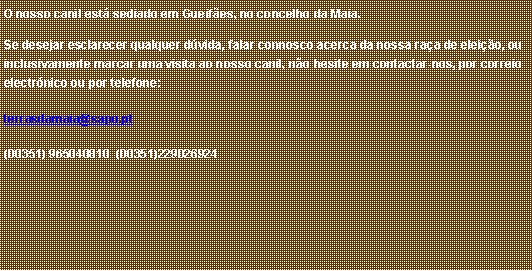 Caixa de texto: O nosso canil est� sediado em Gueif�es, no concelho da Maia.Se desejar esclarecer qualquer d�vida, falar connosco acerca da nossa ra�a de elei��o, ou inclusivamente marcar uma visita ao nosso canil, n�o hesite em contactar-nos, por correio electr�nico ou por telefone:terrasdamaia@sapo.pt(00351) 965040810  (00351)229026924