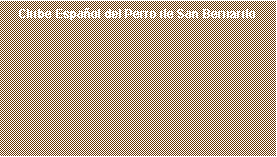 Caixa de texto: Clube Espa�ol del Perro de San Bernardo