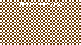 Caixa de texto: Cl�nica Veterin�ria de Le�a