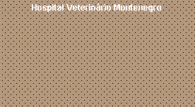 Caixa de texto: Hospital Veterin�rio Montenegro