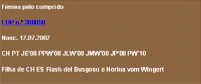 Caixa de texto: F�mea p�lo compridoLOP n.� 388058Nasc. 17.07.2007CH PT JE�08 PPW�08&nbsp;JLW�08 JMW�08 JP�08 PW�10Filha de CH ES Flash del Busgosu e Norina vom Wingert