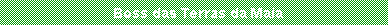 Caixa de texto:   Boss das Terras da Maia