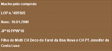 Caixa de texto: Macho p�lo compridoLOP n.�409365Nasc. 18.01.2009JP�10 PPW�10Filho de Multi CH Deco do Farol da Boa Nova e CH PT Jennifer da Costa Lusa 