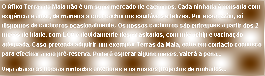 Caixa de texto: O Afixo Terras da Maia n�o � um supermercado de cachorros. Cada ninhada � pensada com exig�ncia e amor, de maneira a criar cachorros saud�veis e felizes. Por essa raz�o, s� dispomos de cachorros ocasionalmente. Os nossos cachorros s�o entregues a partir dos 2 meses de idade, com LOP e devidamente desparasitados, com microchip e vacina��o adequada. Caso pretenda adquirir um exemplar Terras da Maia, entre em contacto connosco para efectuar a sua pr�-reserva. Poder� esperar alguns meses, valer� a pena...Veja abaixo as nossas ninhadas anteriores e os nossos projectos de ninhadas...